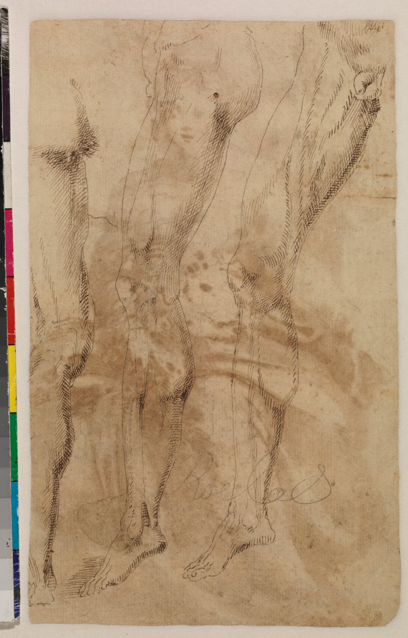 Tre undersøgelser af et mandligt ben (verso) ca. 1537 (pen og brunt blæk på lagt papir) [se 5948317] af Alonso (workshop of) Berruguete