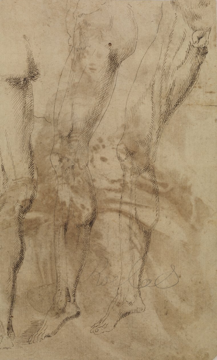 Tre undersøgelser af et mandligt ben, ca. 1637 af Alonso Berruguete