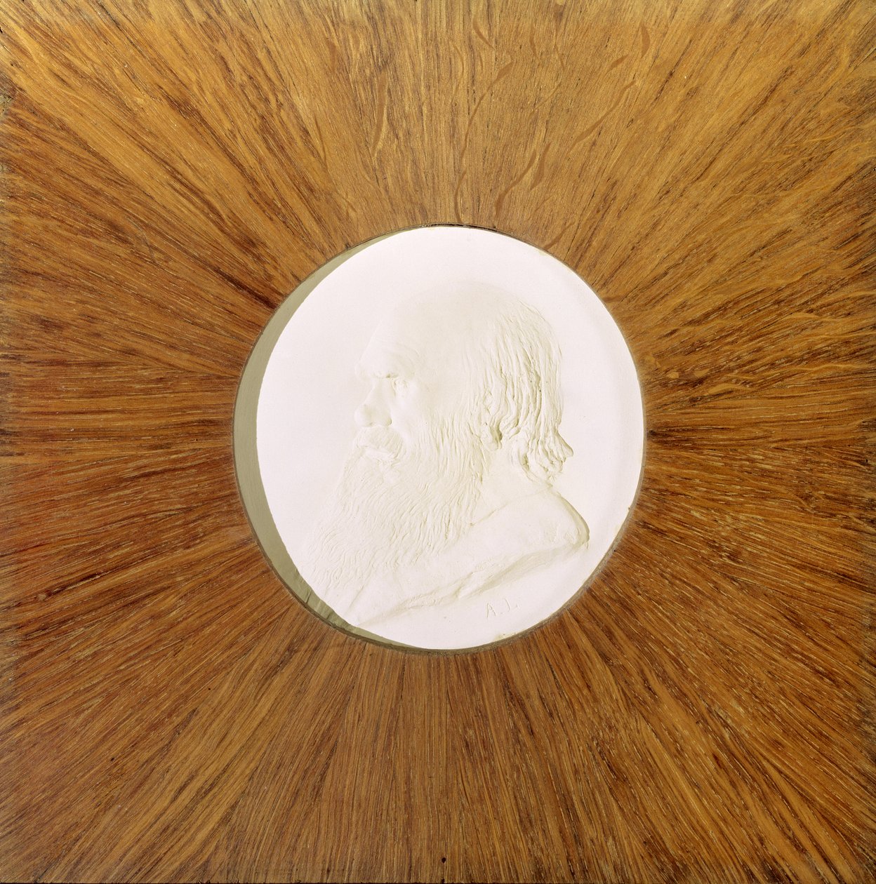 Charles Darwin (1809-82) ca. 1881 (gips bas-relief) af Alphonse Legros