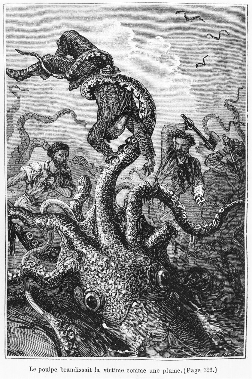 The Octopus Attacking the Nautilus, illustration fra 