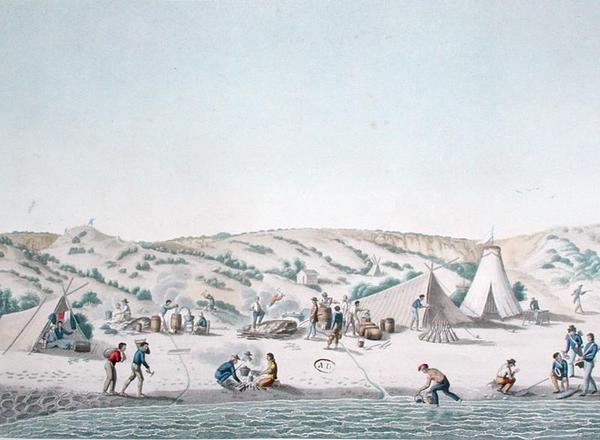 Baie des Chiens Marins, New Holland: The Camp of Uranie nær Ile Peron, fra 