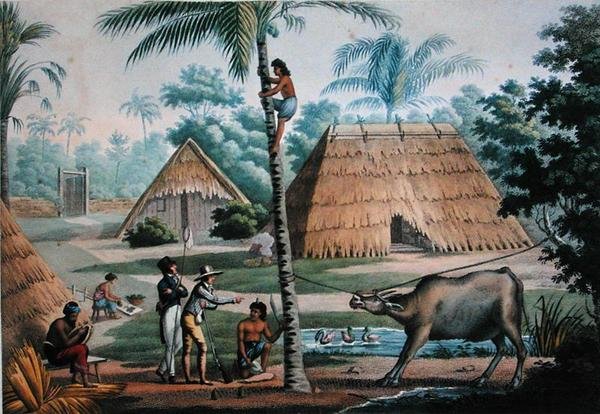 Udsigt over Coupang, Timor, fra "Voyage Autour du Monde sur les Corvettes de L