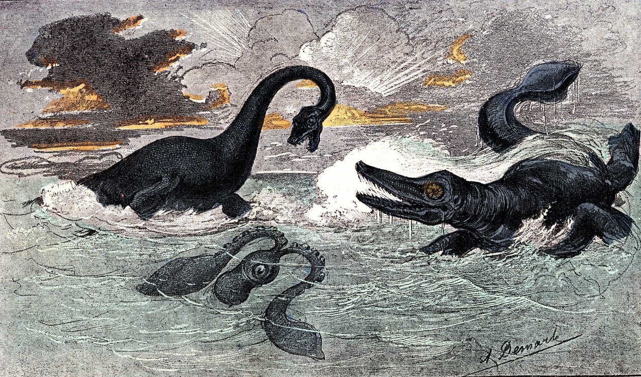 Lias-periode (nedre jura): Plesiosaur og Ichthyosaur, naturlig skabelse og levende væsener (af Jules Renegade) Tegning af A. Demarle. 1885 af Alphonse Demarle