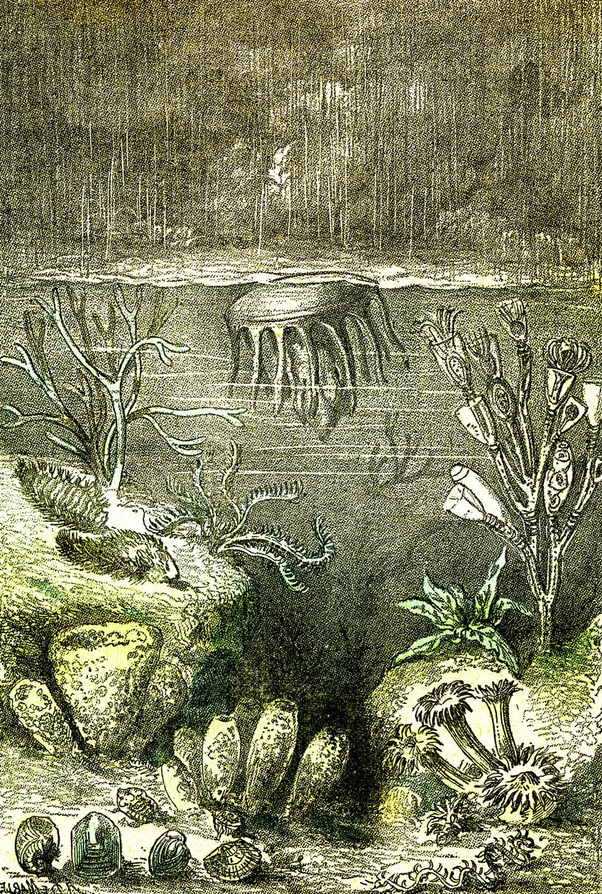 Prehistoire-Terre et Mers: Silurtidens begyndelse (J. Rengade. Tegning af Demarle. 1885 af Alphonse Demarle