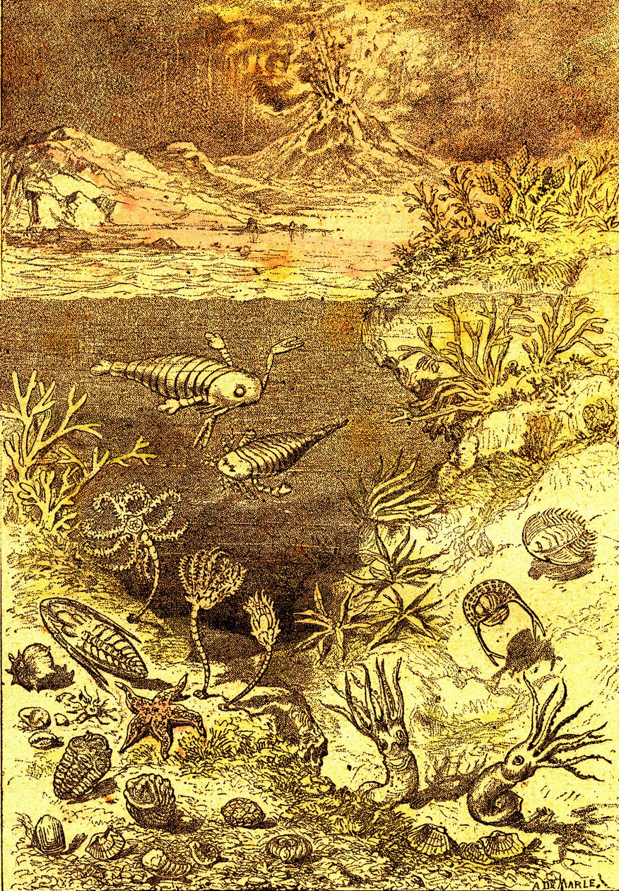 Esihistoria - Silurian ajan loppu: Luonnollinen luominen ja elävät olennot (J. Rengade) Piirustus A. Demarle. 1885 af Alphonse Demarle