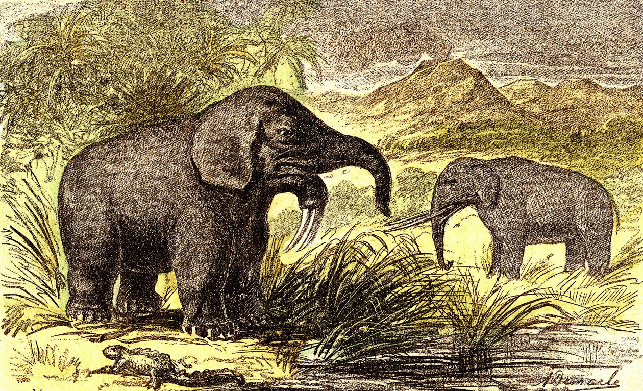 Esihistoria-mioseenikausi: Oikealta vasemmalle: Dinotherum ja Mastodonte. Luonnollinen luomus ja elävät olennot. Piirustus A. Demarle. 1885 af Alphonse Demarle