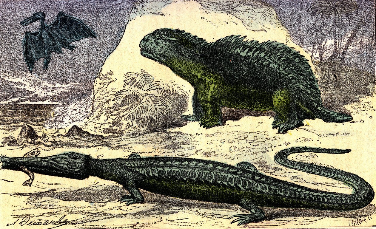 Forhistorie - Jurassic Period: Teleosauren og Hyleosauren. Pterodactylen ovenpå. Naturlig skabelse og levende væsener. Tegning af A. Demarle. 1885 af Alphonse Demarle