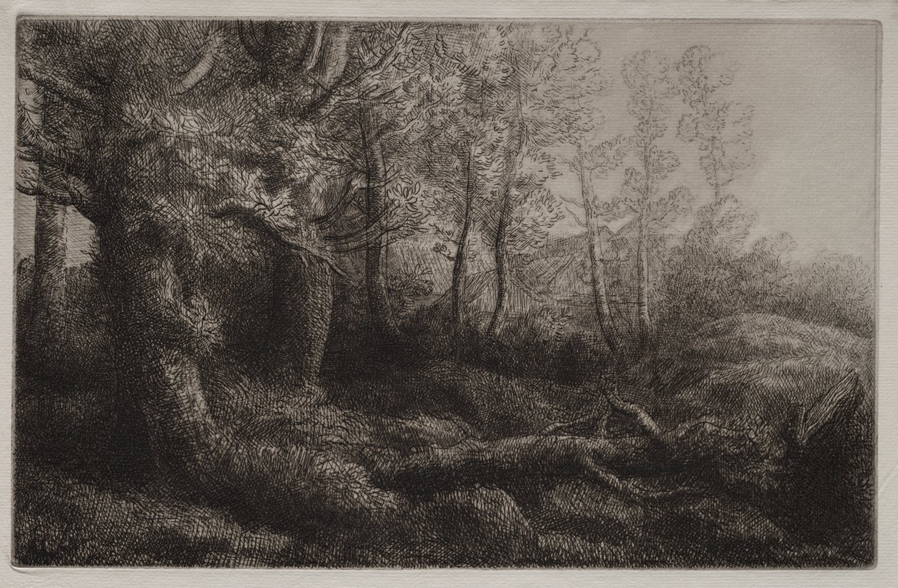 Et skovstudie af Alphonse Legros