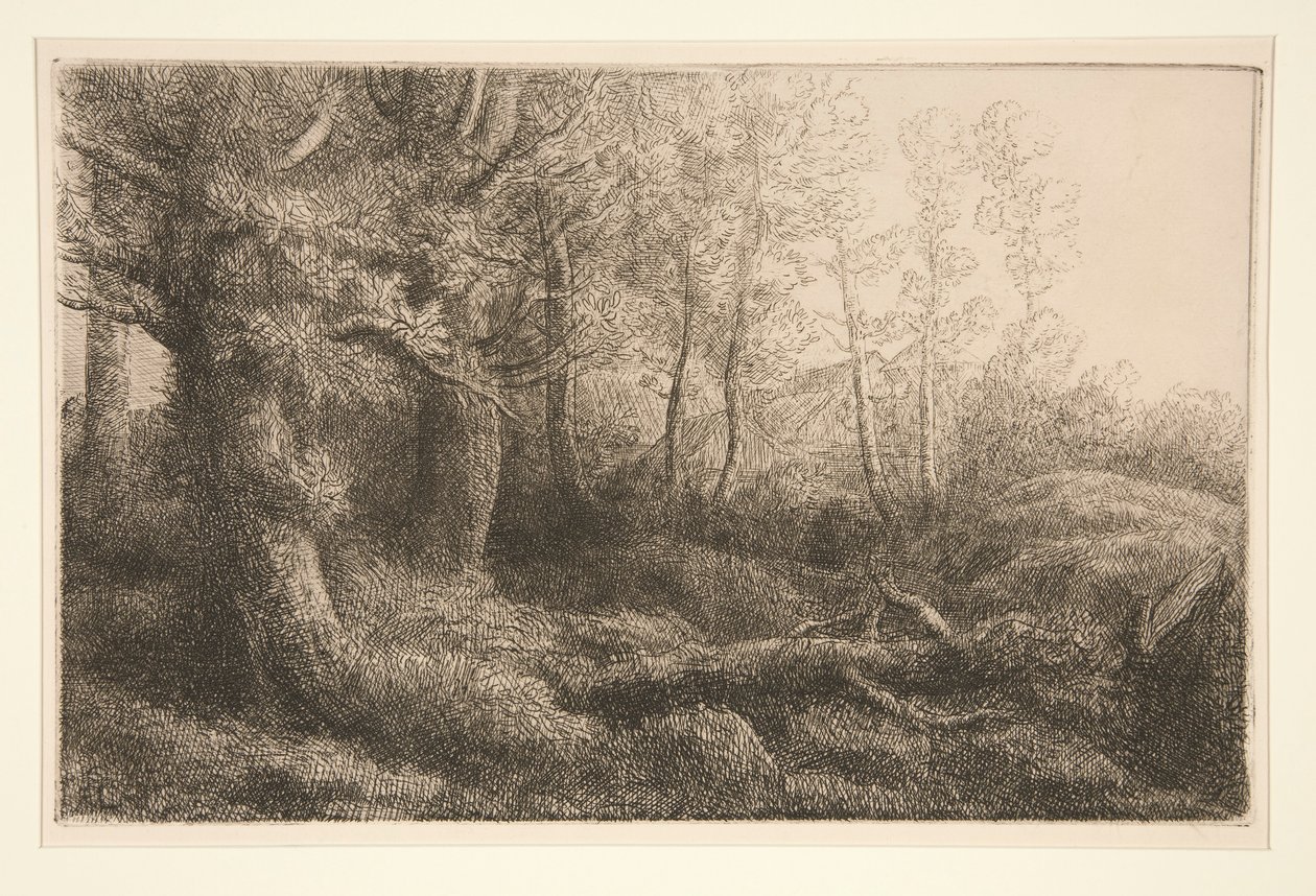 Et skovstudie af Alphonse Legros