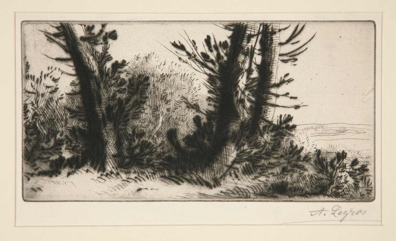 En travers champ (på tværs af landet) af Alphonse Legros