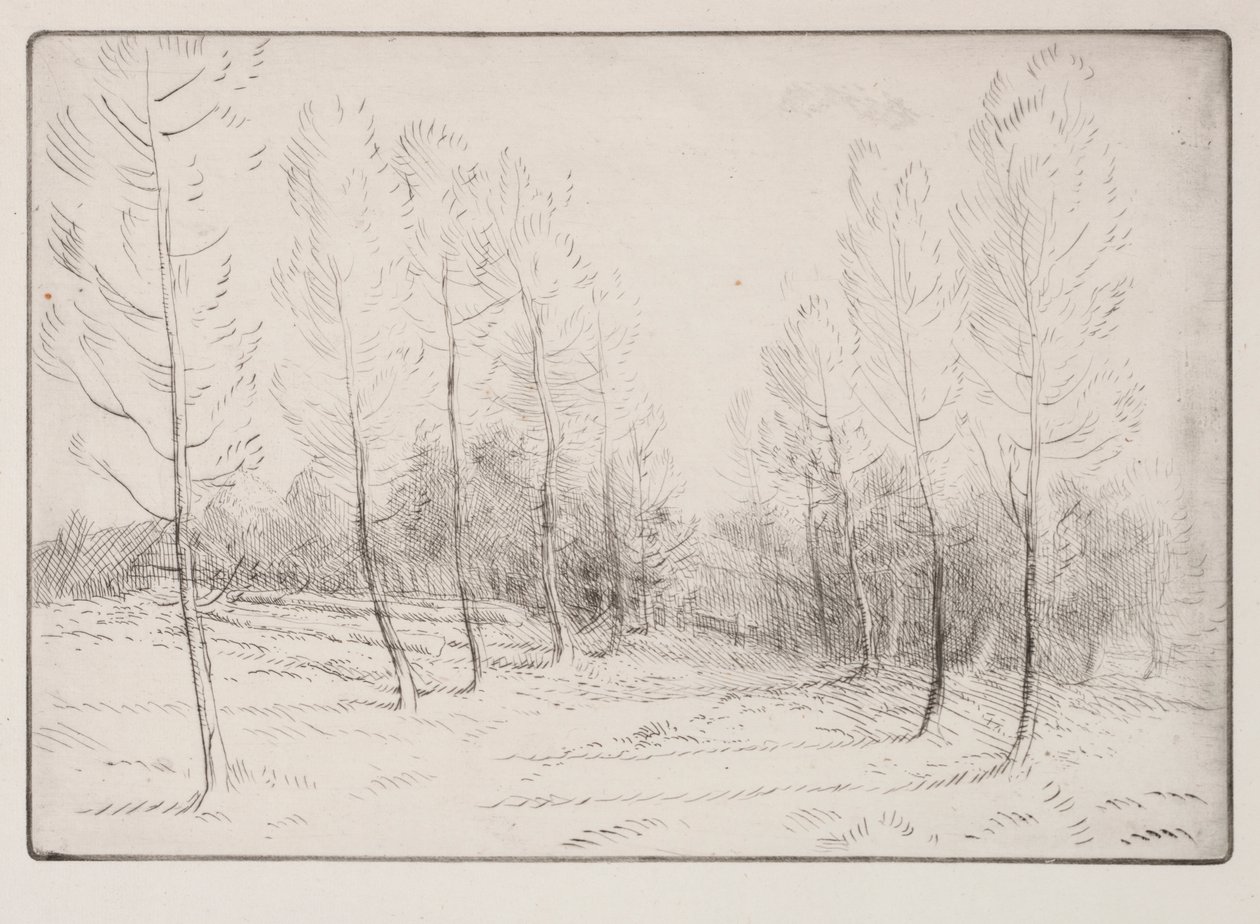Popler Avenue af Alphonse Legros