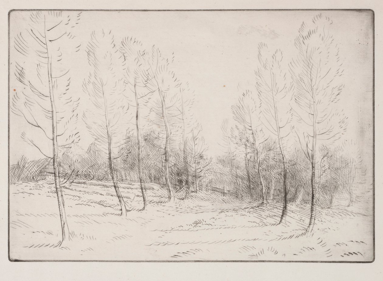 Popler Avenue. af Alphonse Legros
