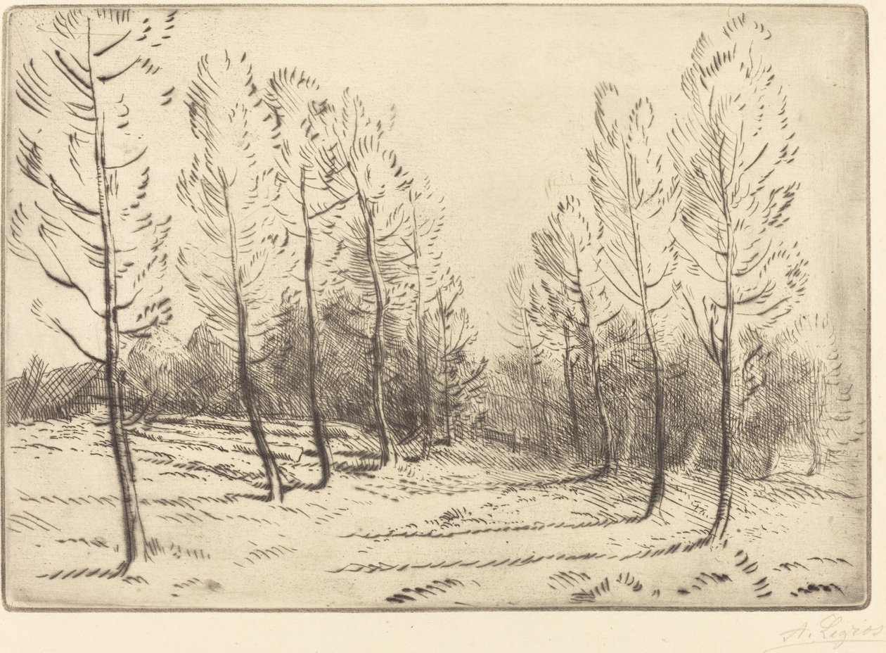 Avenue of Poplars Poplers gyde. af Alphonse Legros