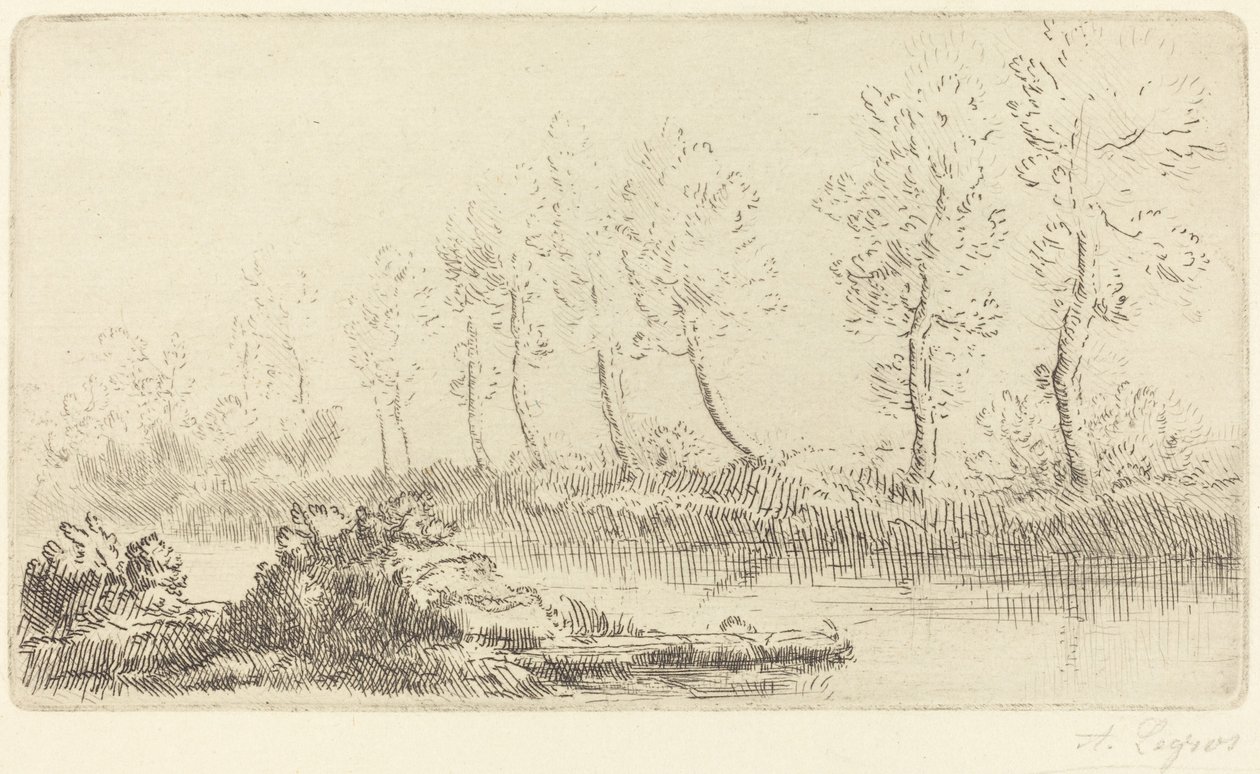 Banks of the Adour (Bord de l