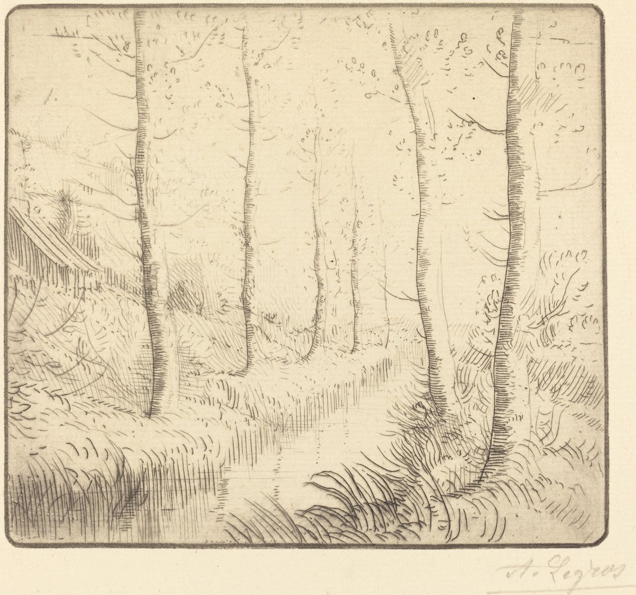 Birketræer langs vandet af Alphonse Legros