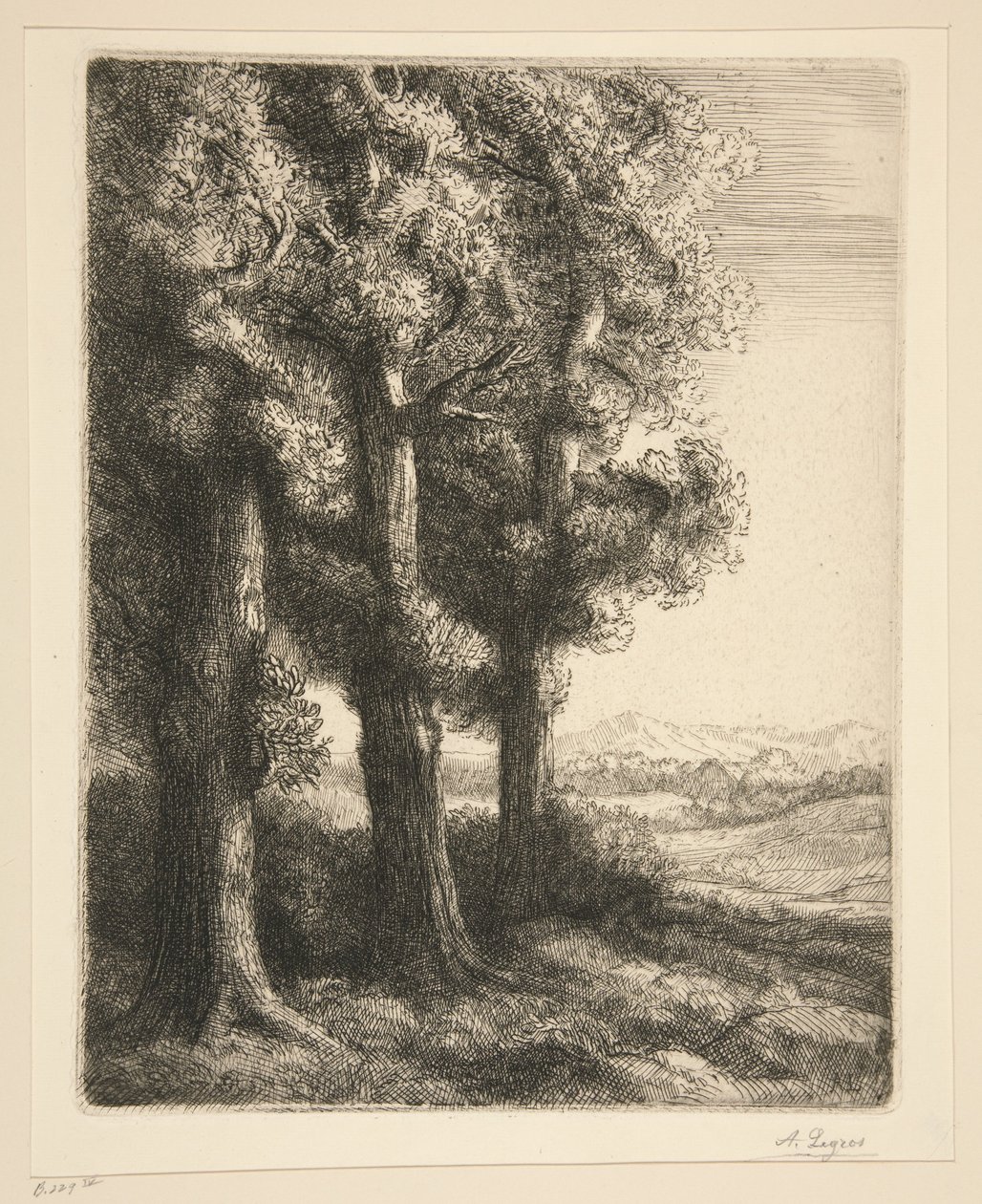 Et hjørne af en skov af Alphonse Legros
