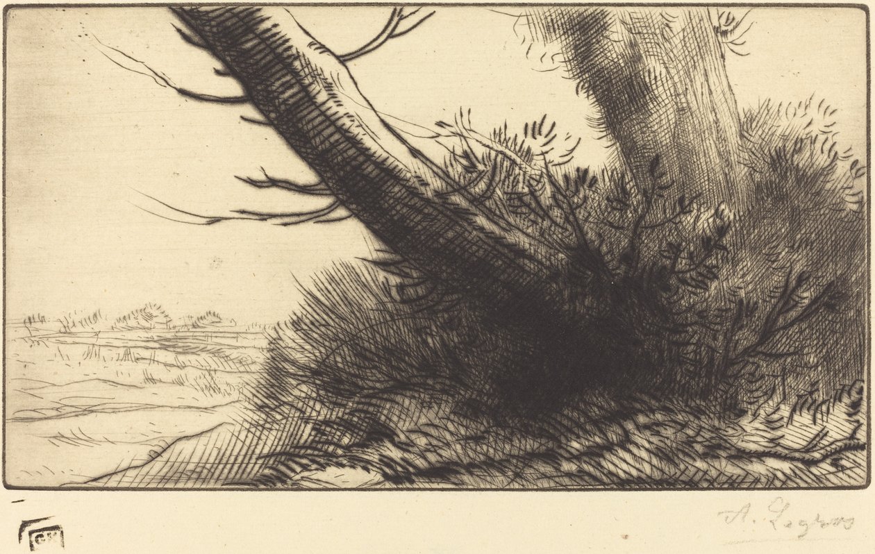 Hjørne af en sti af Alphonse Legros