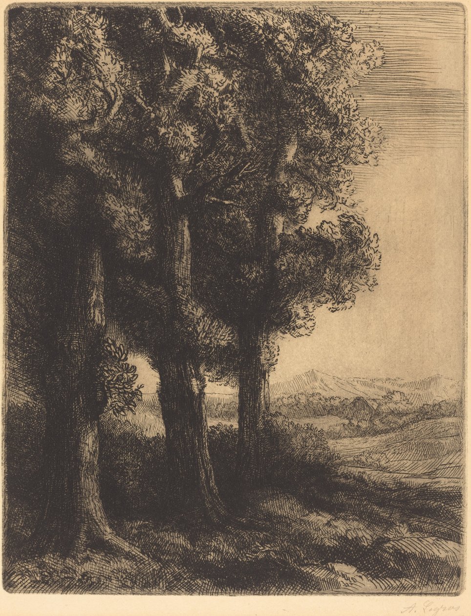 Hjørne af en skov (Coin d