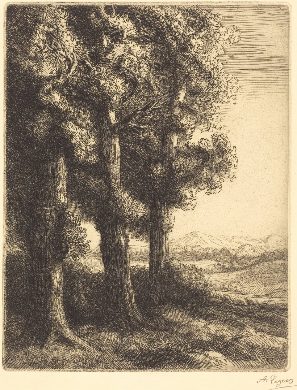 Corner of a Wood (Et hjørne af en skov) af Alphonse Legros