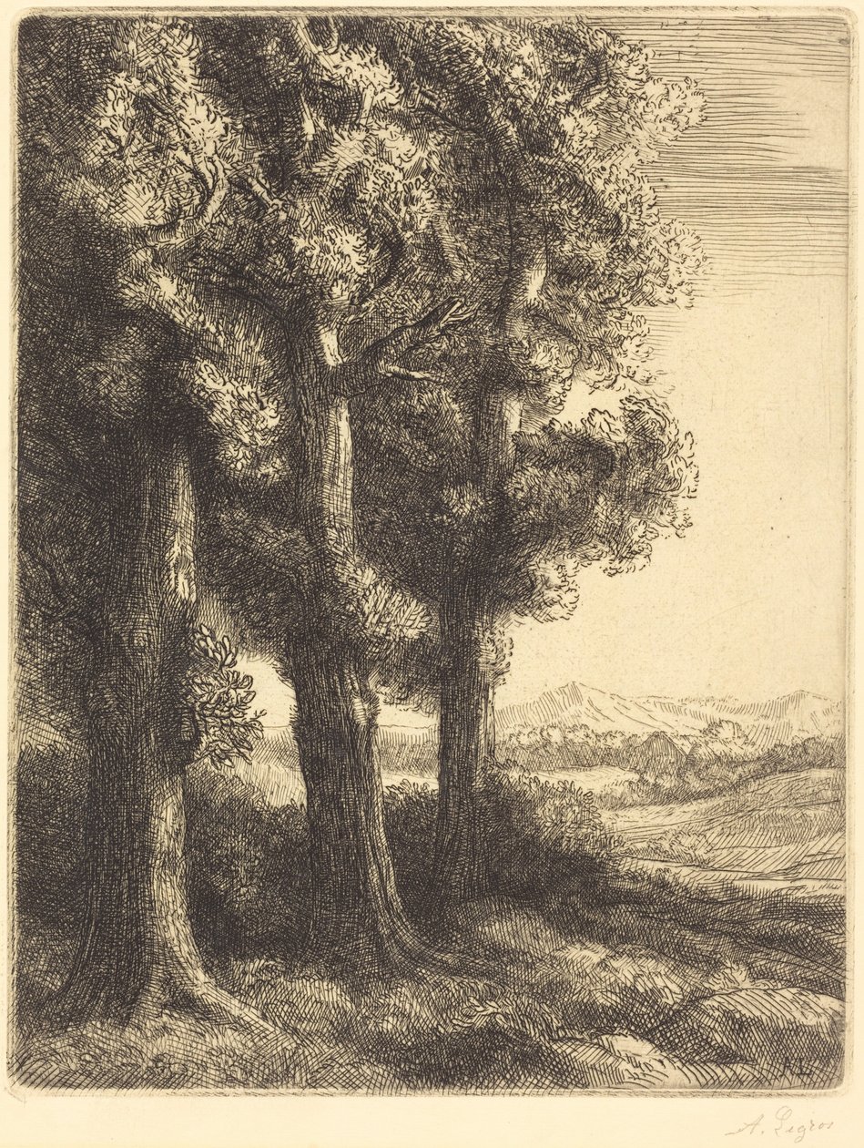 Corner of a Wood (Et hjørne af en skov) af Alphonse Legros