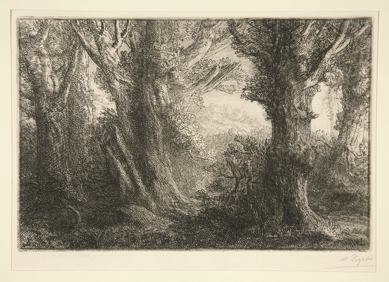 Dans la foret de Conteville (I Conteville-skoven) af Alphonse Legros