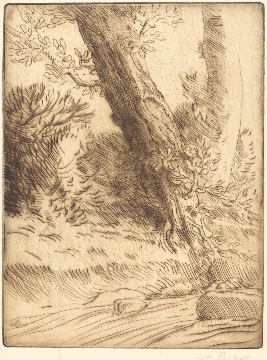 Edge of a Brook (Bord de ruisseau) af Alphonse Legros