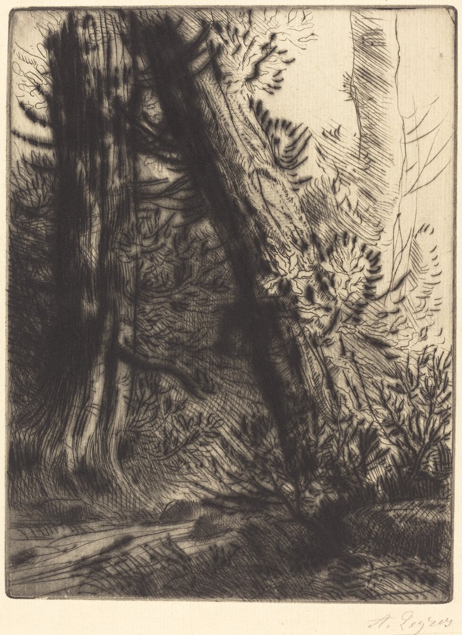 Kanten af en Brook Bord de ruisseau. af Alphonse Legros