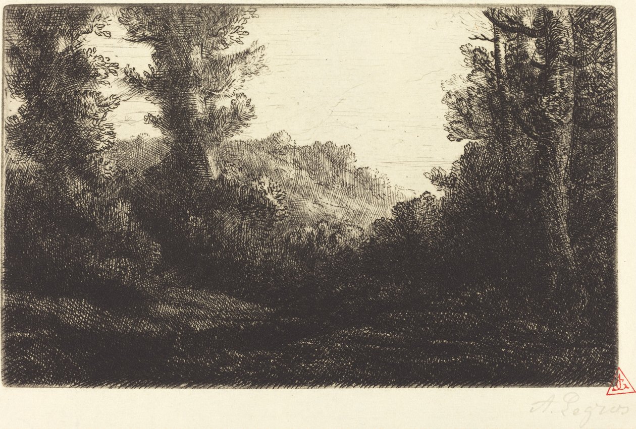 Edge of a Wood (Lisiere de bois) af Alphonse Legros