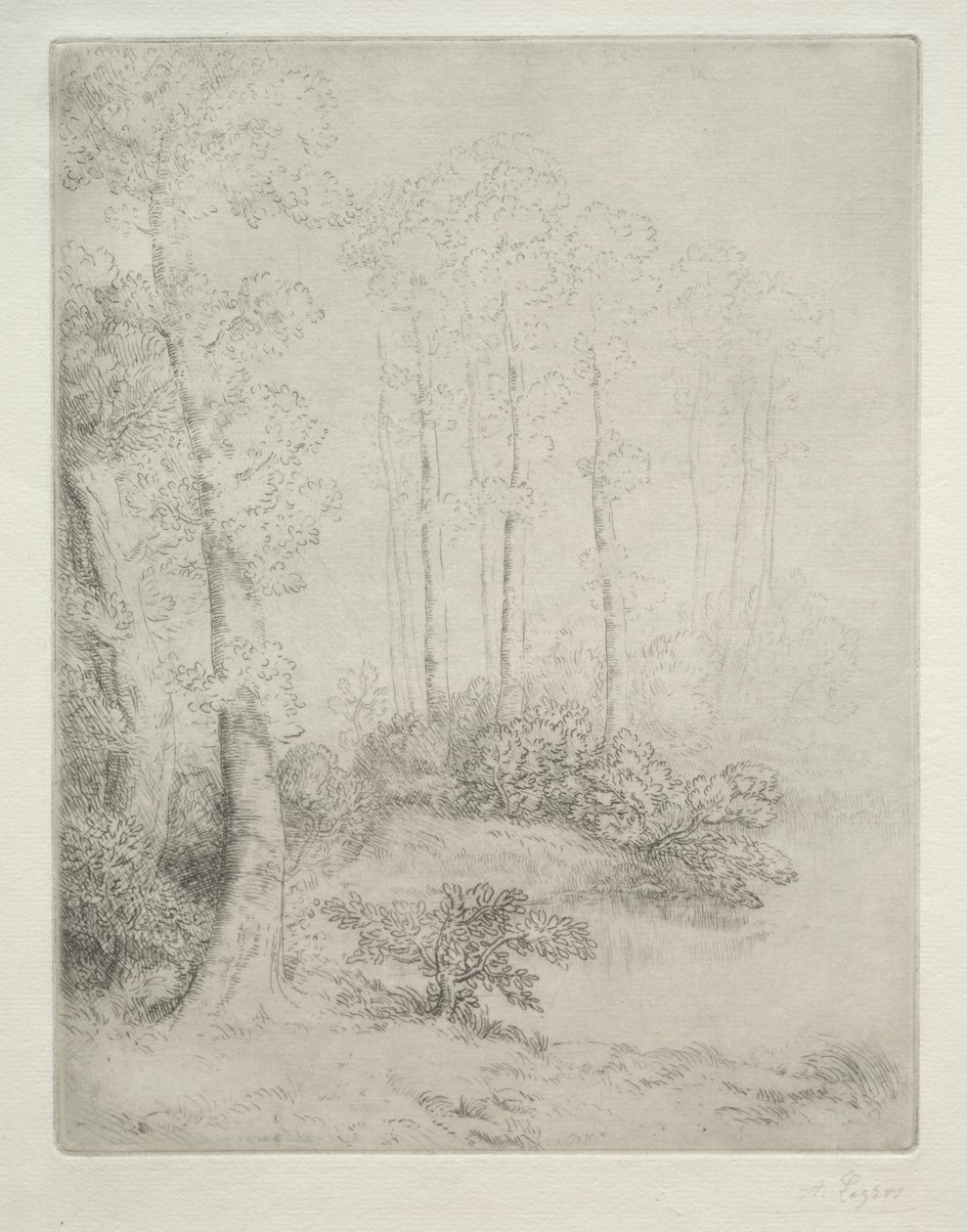 Vandets kant af Alphonse Legros