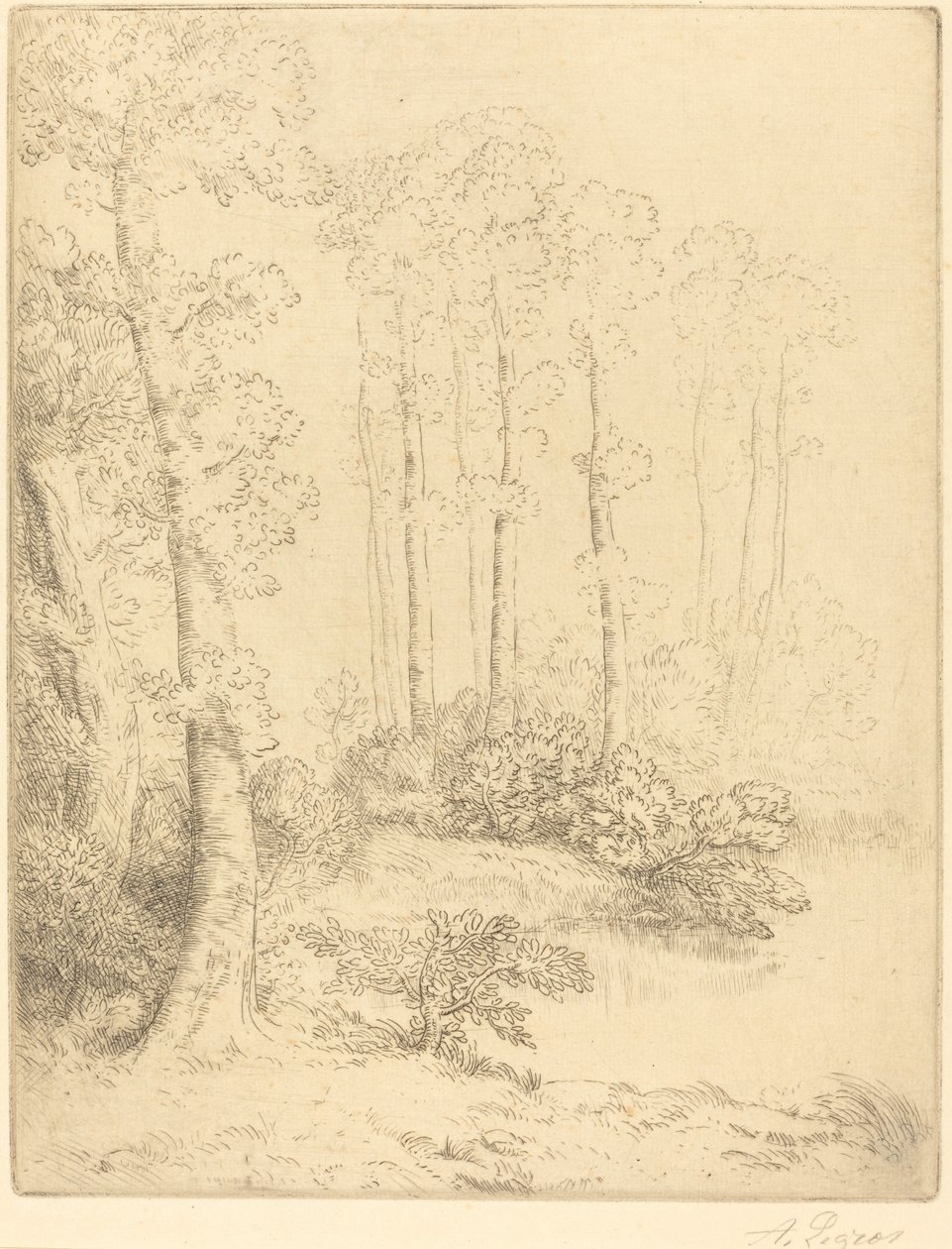 Vandkanten Ved vandkanten. af Alphonse Legros