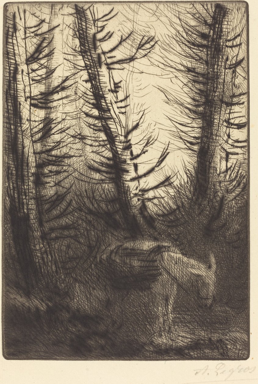 Bonde og hans æsel af Alphonse Legros