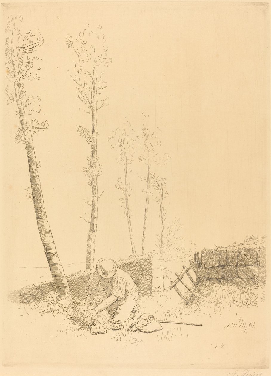 Finding the Sheep (Le Mouton retrouve) af Alphonse Legros