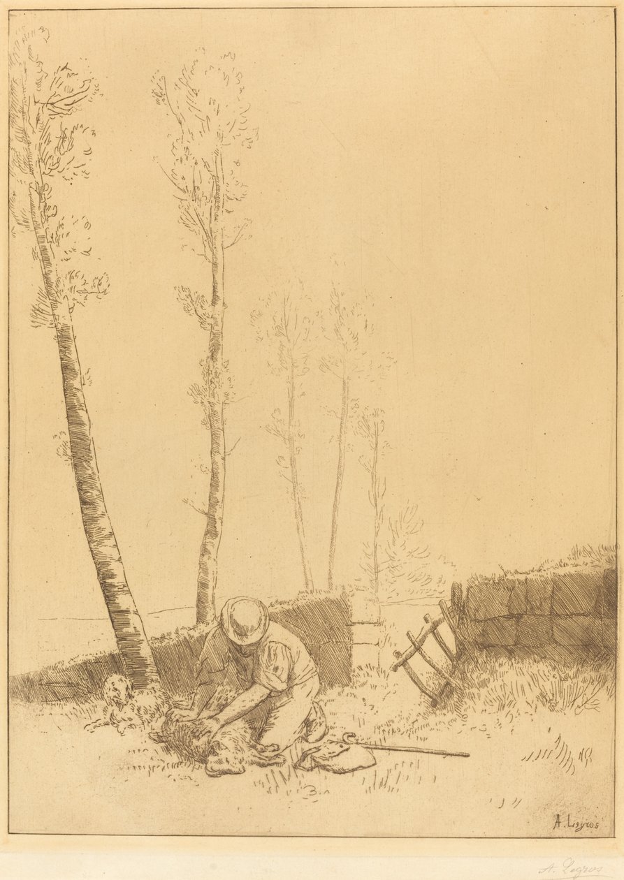 Finding the Sheep (Le Mouton retrouve) af Alphonse Legros