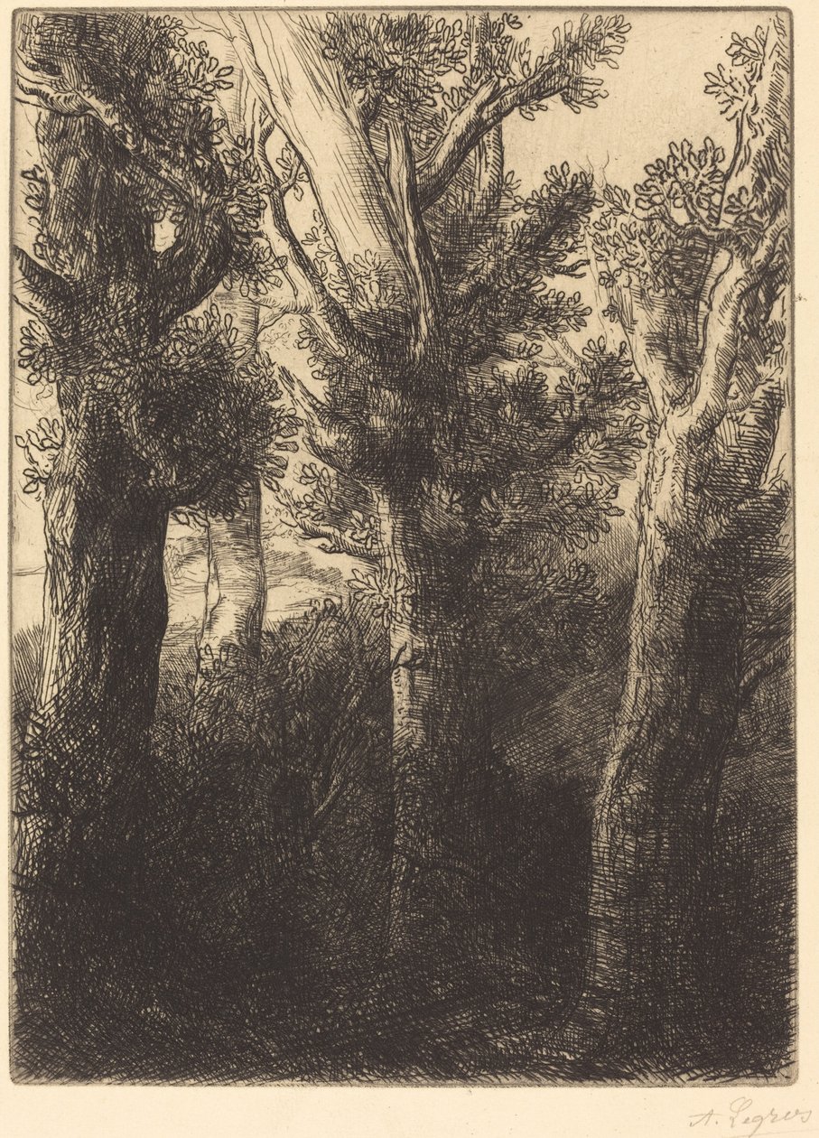 German Forest, Downley af Alphonse Legros