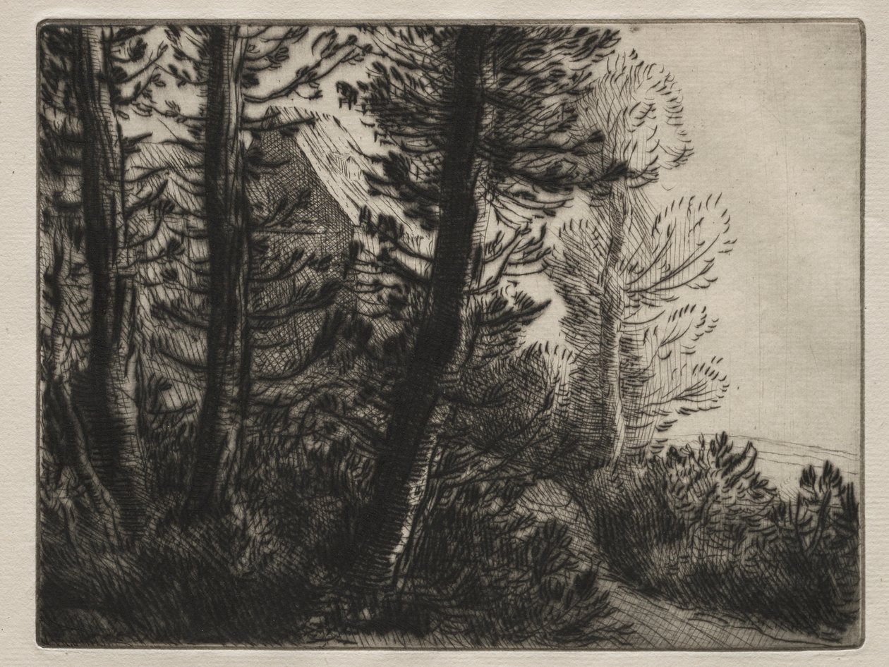 Vagt hus af Alphonse Legros