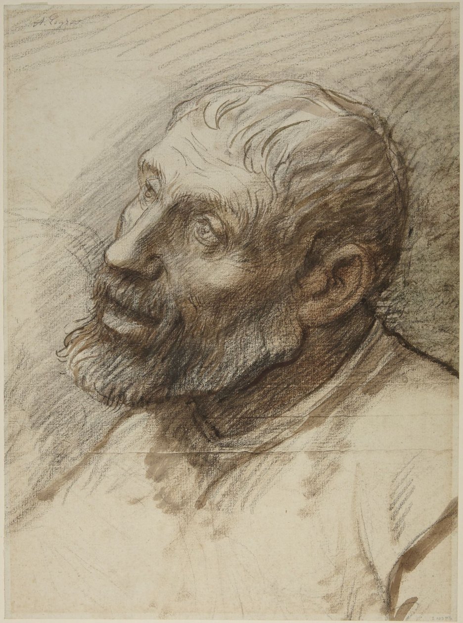 Hovedet af en skægget mand af Alphonse Legros