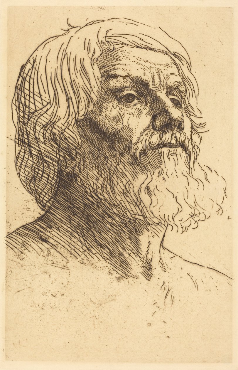 Hoved af en mand af Alphonse Legros