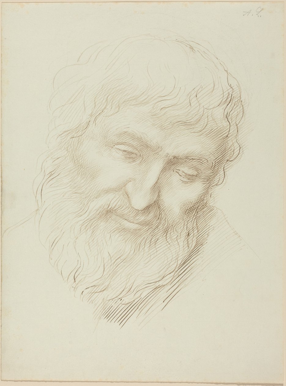En mands hoved af Alphonse Legros