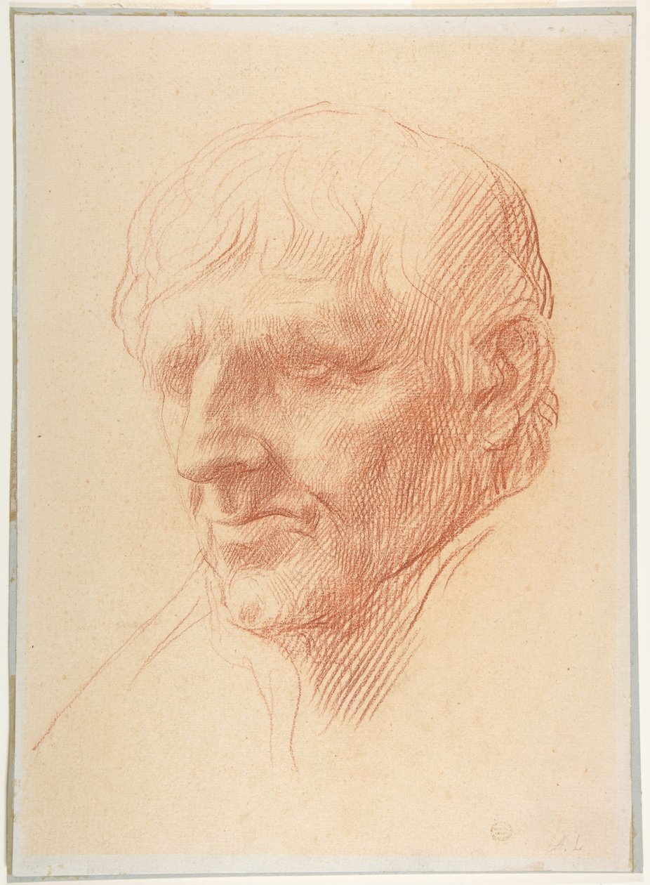 Hoved af en mand af Alphonse Legros