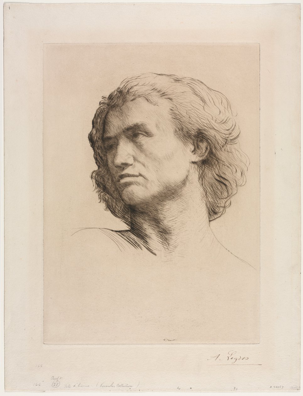 Hoved af en mand. af Alphonse Legros