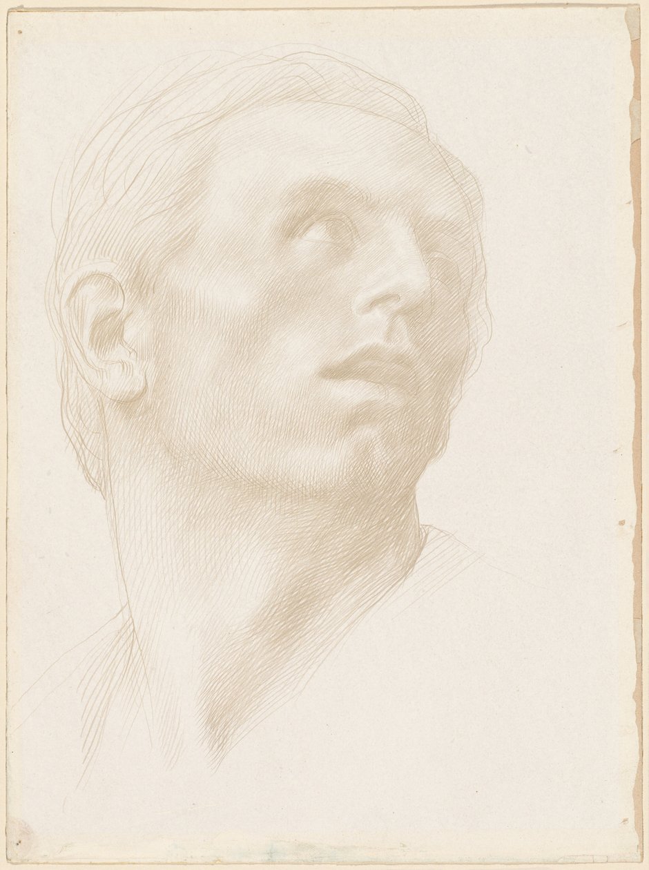 Hoved af en mand, der ser op til højre, 1890