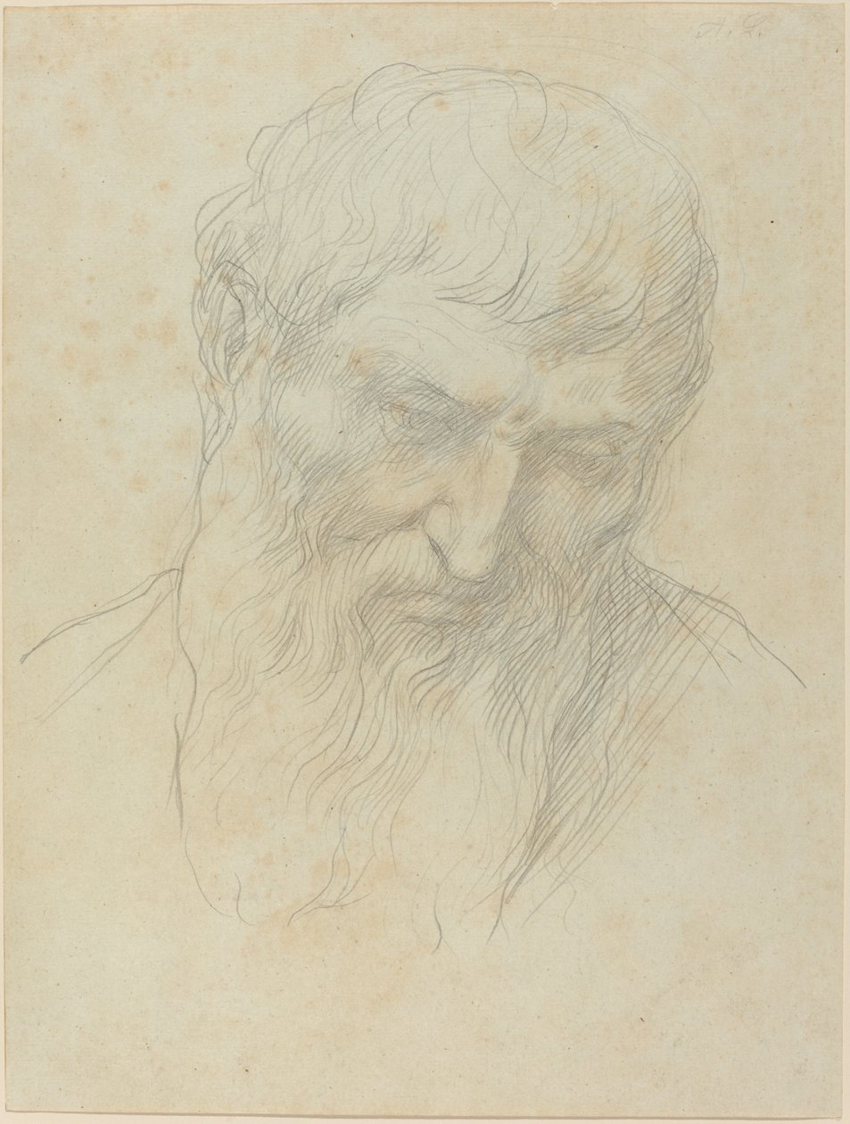 Hoved af en mand med krøllet hår og skæg af Alphonse Legros