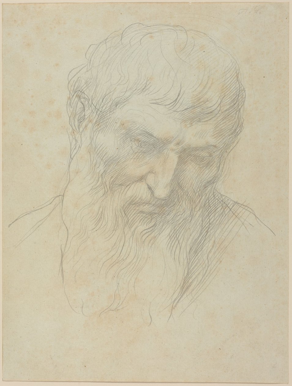 Hoved af en mand med krøllet hår og skæg af Alphonse Legros