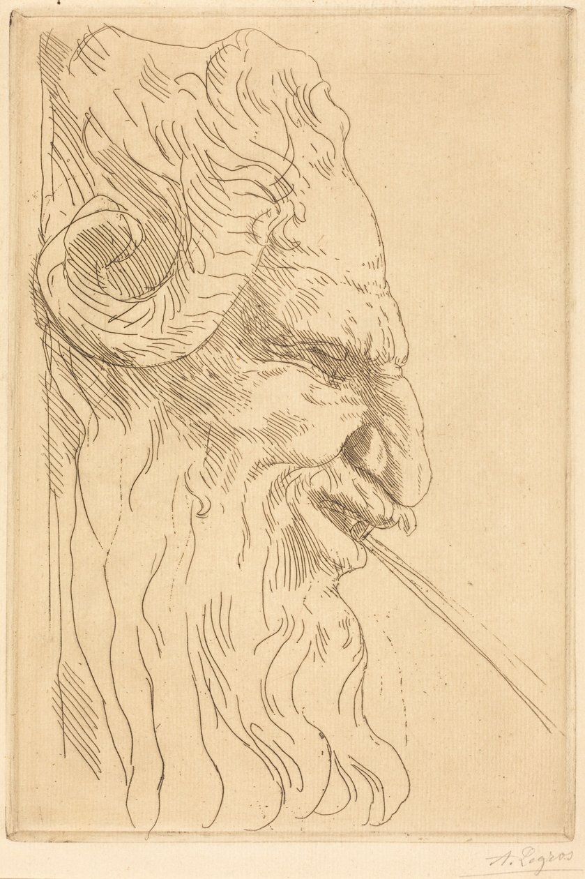 Hoved af en satyr af Alphonse Legros