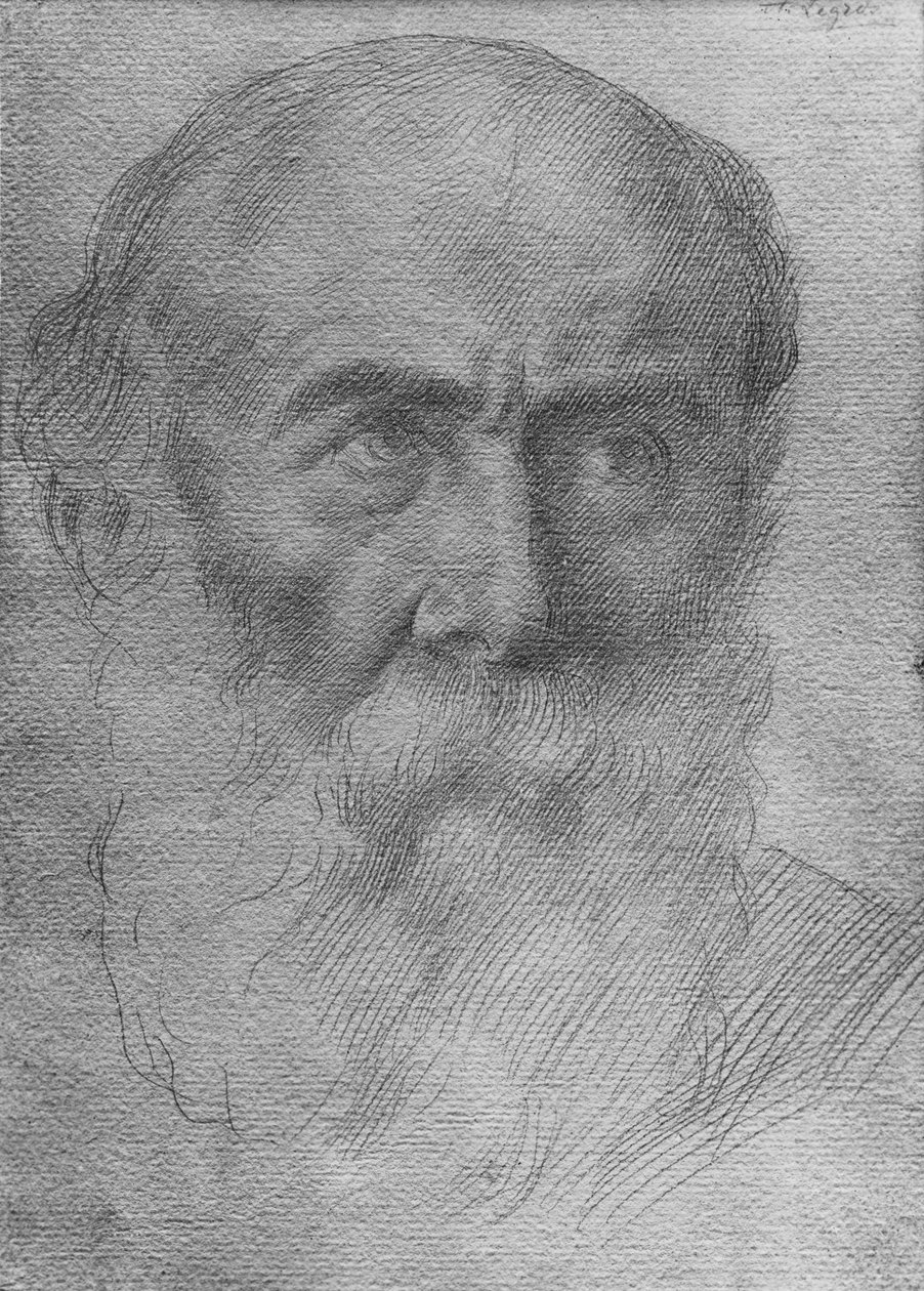 Hoved af en mand (guldpunkt på papir) af Alphonse Legros