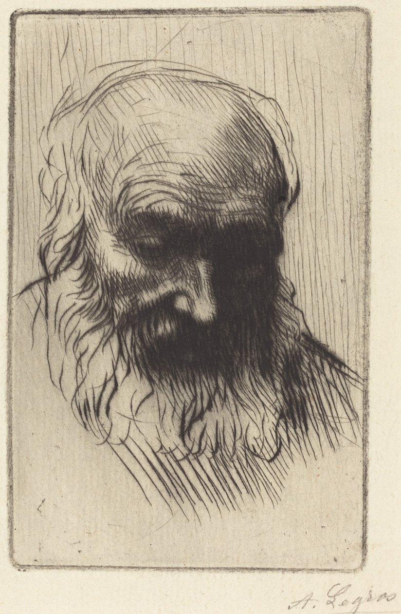 En gammel mands hoved (Etude de tete) af Alphonse Legros