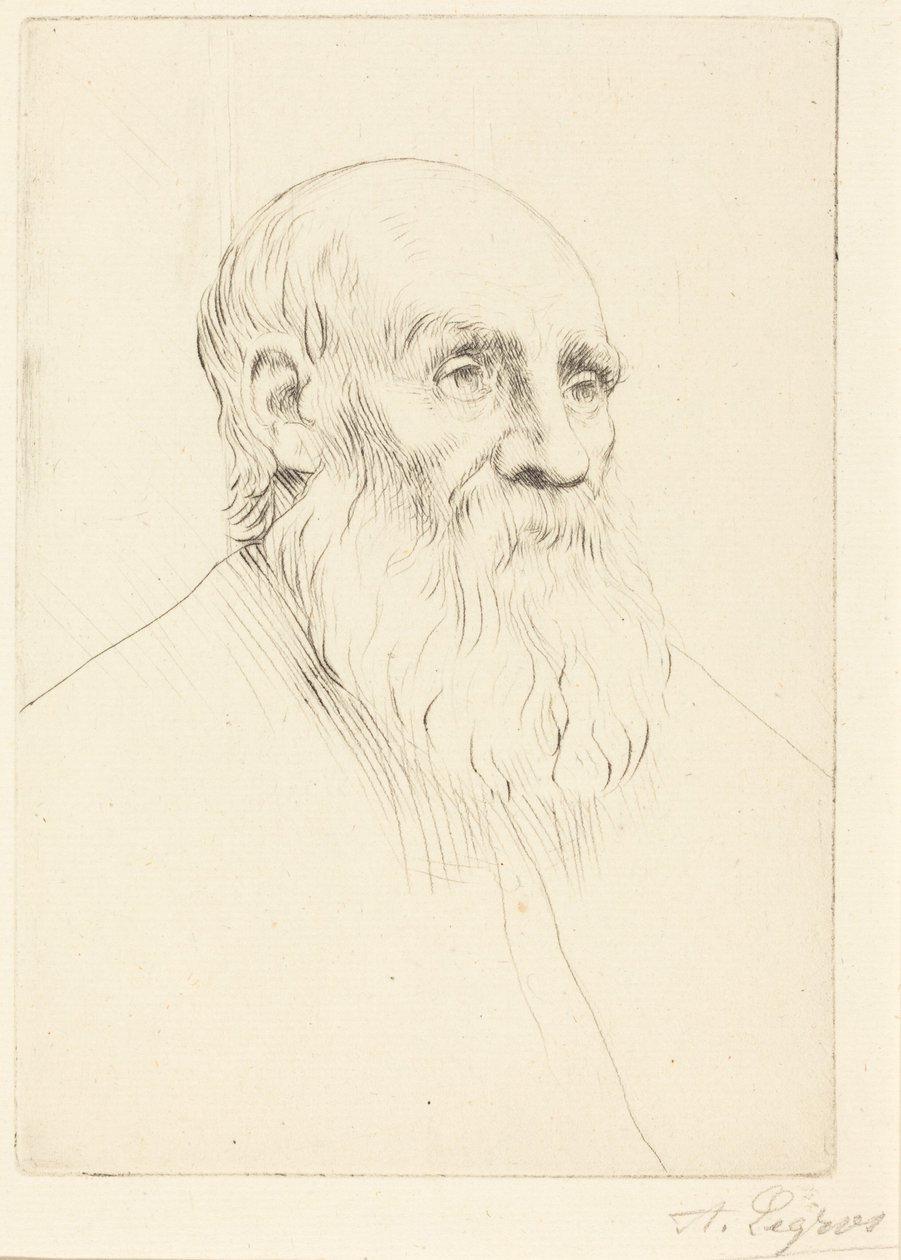 Hoved af en gammel mand (hovedstudie) af Alphonse Legros
