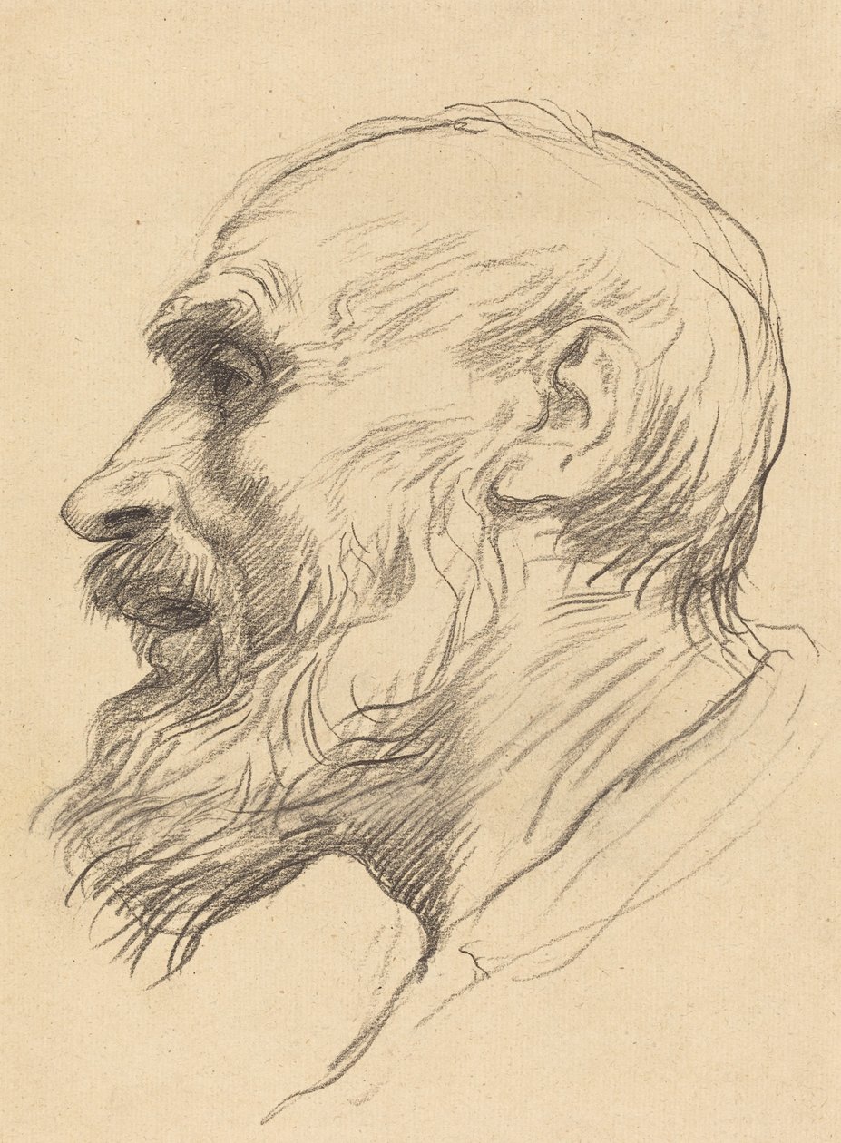 Hoved af en gammel mand af Alphonse Legros