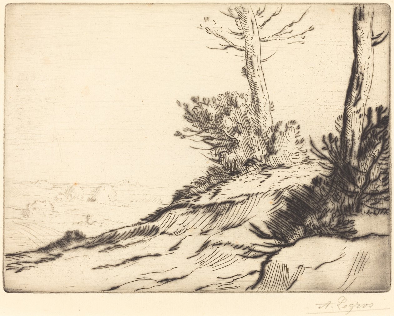 Bakke med buske (La butte aux broussailles) af Alphonse Legros
