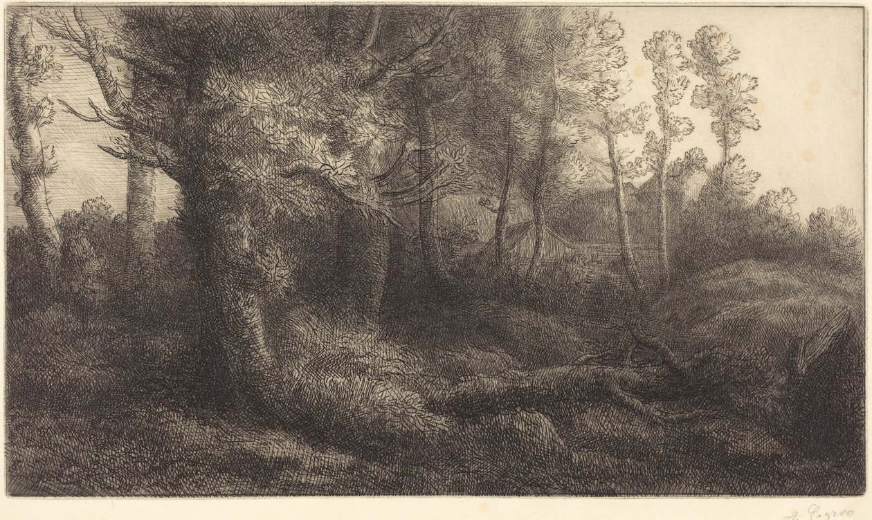 I skoven (Lisière de forêt) af Alphonse Legros